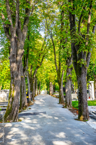 Mirogoj, Green trees at Mirogoj cemetery, Zagreb, Croatia © Mislav