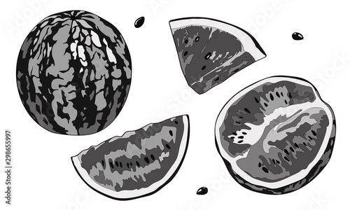 Vector illustration, set. Watermelon, half a watermelon, a piece of watermelon. Black and white.