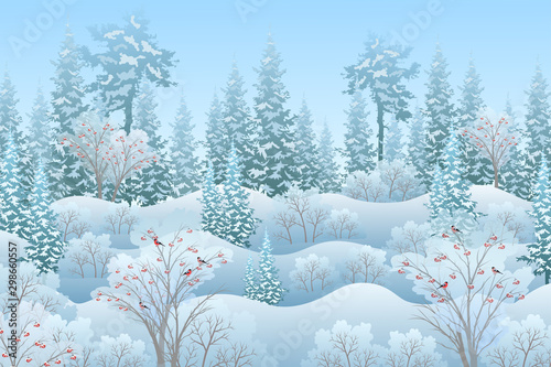 Winter landscape with snowy forest, rowan trees and birds, vector illustration.