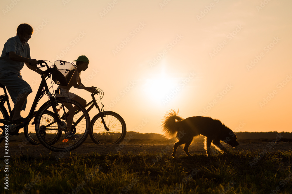 Boy and senior woman riding bikes, dog nearby bicycles, silhouettes of riding persons at sunset  in nature