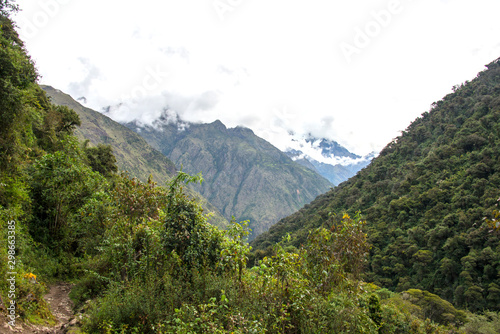  loud forest and tropical jungle around Chaullay in Peru  Salkantay trek 