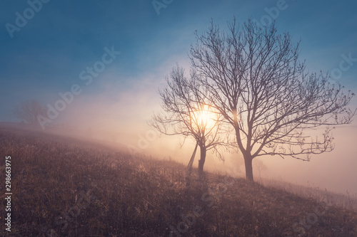 Beautiful morning at autumn mountain hill. Landscape with fog over mountains with sunlight though the couple of trees, standing alone on the hill.