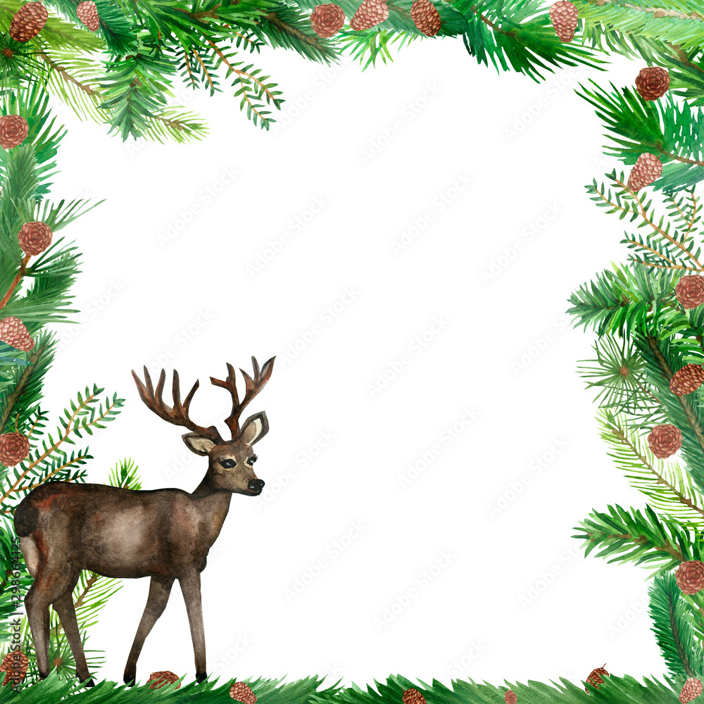 Obraz Akwarela ręcznie malowana natura las kwadratowy skład ramki z zielonymi gałęziami jodły, brązowymi szyszkami i brązowym jeleniem z rogami na białym tle na zaproszenia i karty