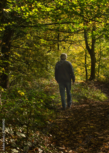 Obraz na plátne A lone senior savours the tranquillity of the woodland on a sunny autumn day whi