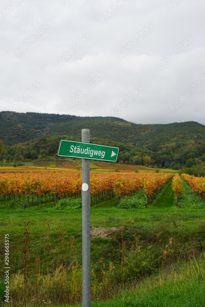 Wegschild in den Weinbergen der Deutschen Weinstrasse