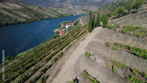 Aerial view of the Douro River and the surrounding terraced slopes and a wine making estate in Portugal, Europe; Concept for travel in Portugal, visit Portugal and most beautiful places in Portugal