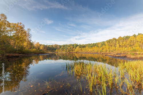 Small lake in forest, autumn landscape