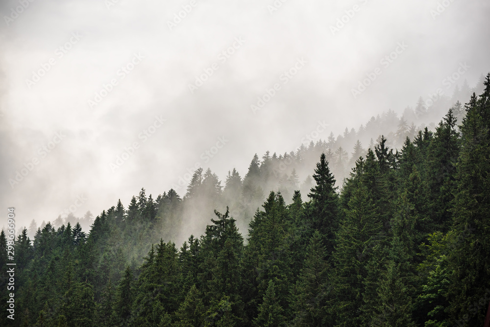 Obraz premium Misty mountain landscape