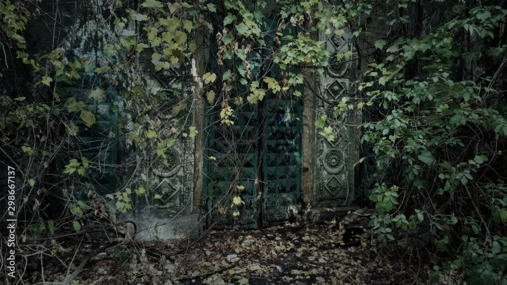 Old building entrance under tree leaves, ancient architecture, mysterious place Old building entrance under tree leaves, ancient architecture, mysterious place