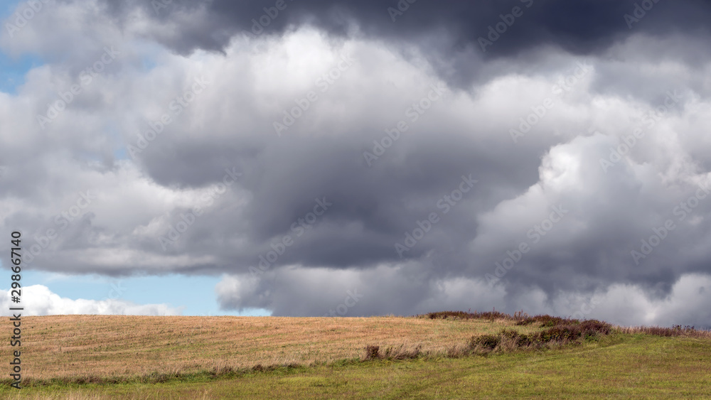 Fields in different seasons near the village of Borodino