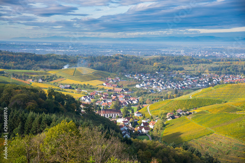 Herbstliche Weinberge in Durbach in der Ortenau