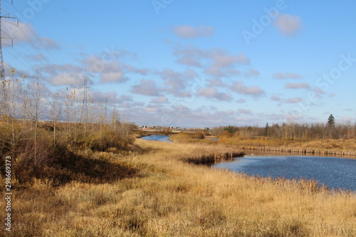 October Day  Pylypow Wetlands  Edmonton  Alberta