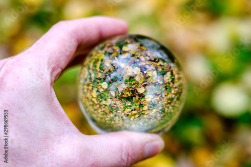 Fototapeta Naklejka Na Ścianę i Meble -  male hand holding crystal glass ball against nature background with reflections