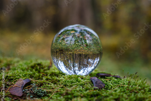 crystal glass ball against nature background with reflections
