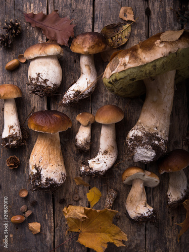Ceps Mushroom Boletus over Wooden Background. Autumn Mushrooms close up on wood rustic table. Cooking delicious organic mushroom. Gourmet food