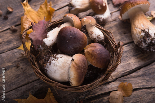 Autumn fall composition. Variety raw edible mushrooms Penny Bun Boletus leccinum on rustic table. Ceps over wooden dark background.