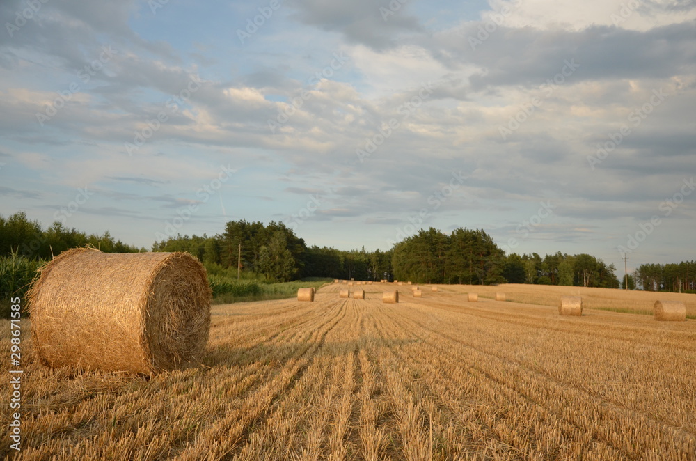  beautiful landscape with hay bales on the field