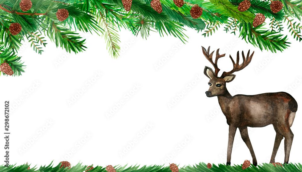 Obraz Akwarela ręcznie malowany transparent graniczny lasu przyrody z zielonymi gałęziami jodły, brązowymi szyszkami i brązowym jeleniem z rogami na białym tle na zaproszenia i karty z miejscem na tekst