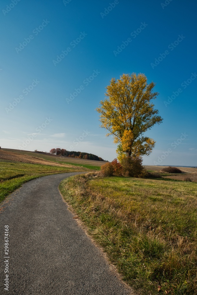Landschaft mit Feldweg im Herbst wolkenloser Himmel