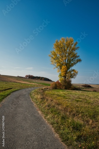 Landschaft mit Feldweg im Herbst wolkenloser Himmel