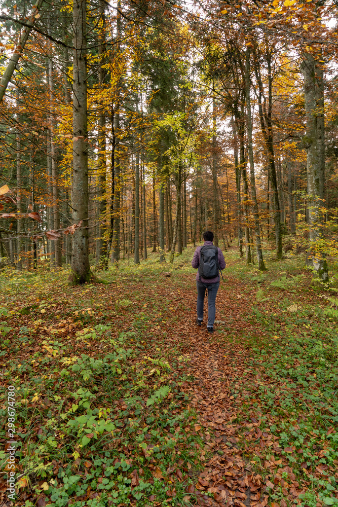 Herbst auf dem Heuberg Baden-Württemberg Deutschland 