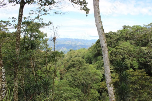 Montaña en Santa Barbara Honduras C.A