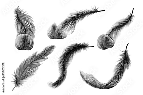 Set of gold  feather. Vector illustration.