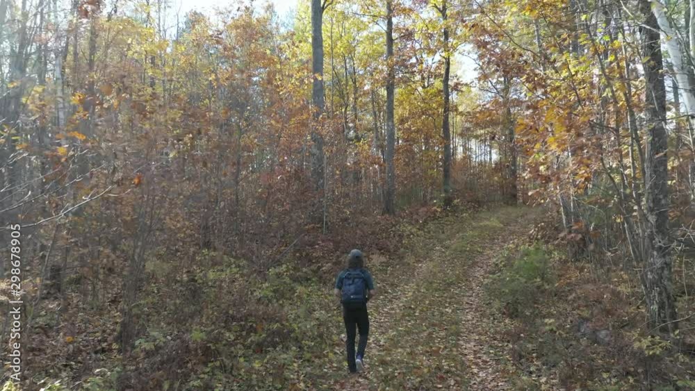 Aerial tracking, young male walks then runs trail in woods in autumn Aerial tracking, young male walks then runs trail in woods in autumn