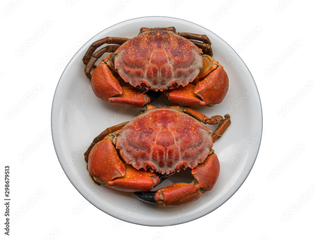 Steamed crab in white dish isolated on white background with clipping path. Steamed crab in white dish isolated on white background with clipping path.