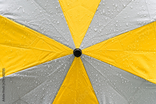 Yellow and gray umbrella with rain drop