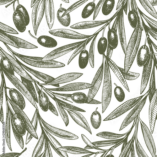 Olive branch seamless pattern. Hand drawn vector food illustration. Engraved style mediterranean plant background. Retro botanical illustration.