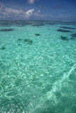Tropical pacific ocean, clear turquoise water & beautiful blue sky, Tahiti.