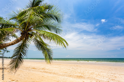 Coconut tree on beach and blue sky