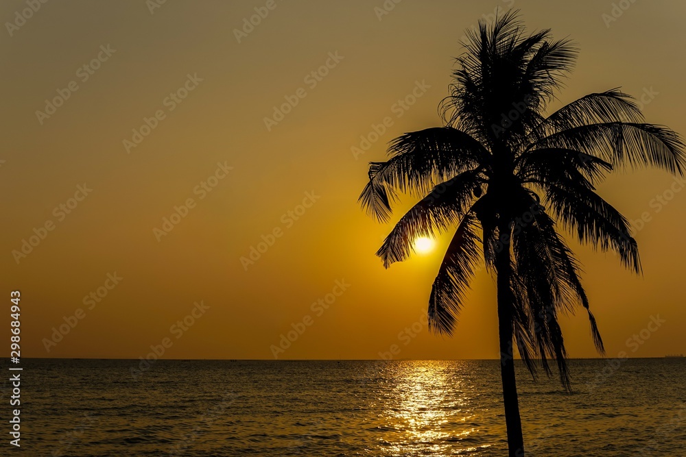 Silhouette of a Coconut tree at the seaside and the sunset is the background.