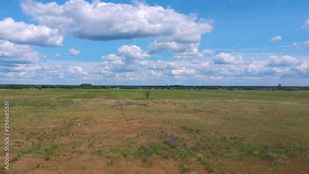 Aerial view: a lonely tree in a green field on a summer day, clouds in the sky Aerial view: a lonely tree in a green field on a summer day, clouds in the sky