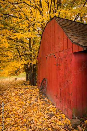 red barn and yellow trees in autumn © Walter E Elliott