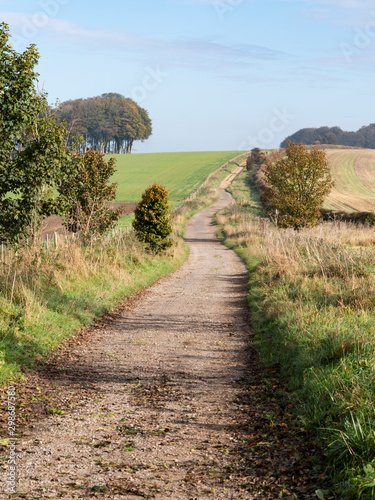 A view looking south from Hackpen Hill of The Ridgeway long distance footpath near Avebury in Autumn sunshine