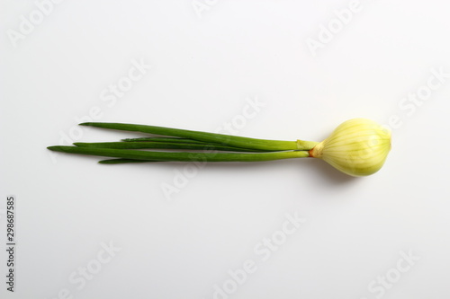 Spring Onions