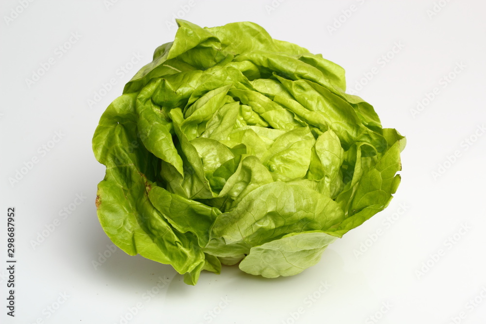 Butter Lettuce Butter Lettuce