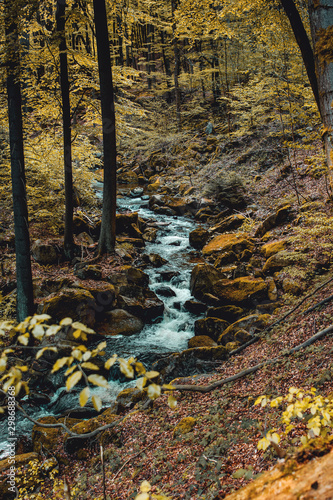 Beautiful nature forest in the mountain with blurry long exposure river water and waterfalls. Orange green tones in National Park