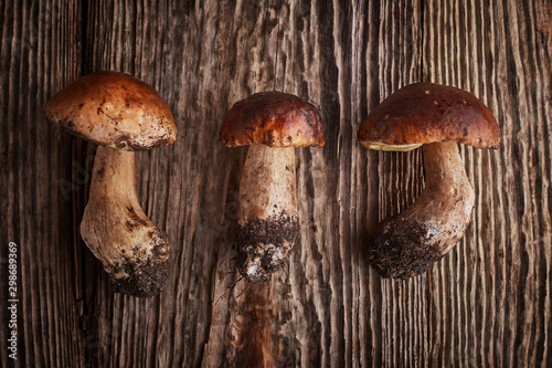 Mushroom boletus on wooden background, selective focus