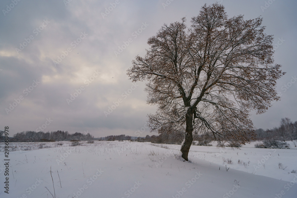 The beauty of russian snowy cloudy cold winter. Photography of snow covered expanses of Russia. Tourism concept. The beauty of russian snowy cloudy cold winter. Photography of snow covered expanses of Russia. Tourism concept.