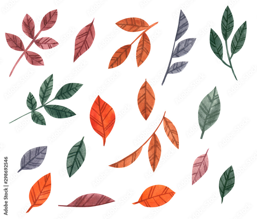 Fototapeta Set of colorful autumn leaves, hand drawn watercolor illustration