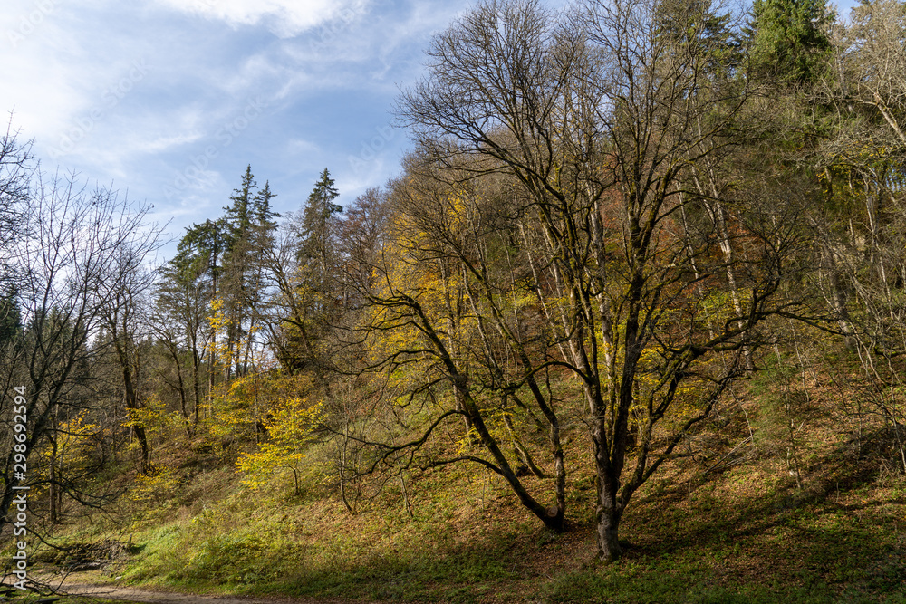 Wandern auf dem Heuberg Böttingen / Königsheim  Deutschland