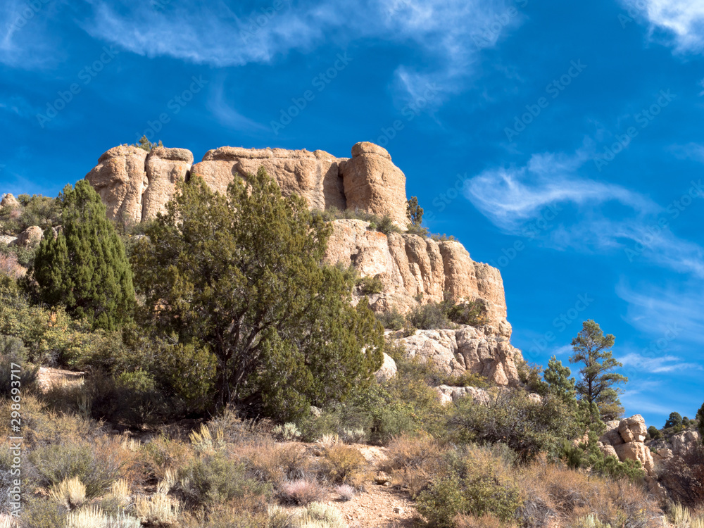 Tall monoliths tower over a pinyon-juniper woodland at Beaver Dam State Park in Nevada