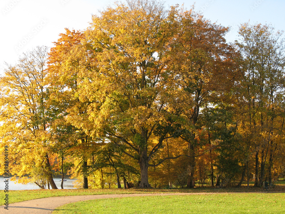 Herbststimmung im Park