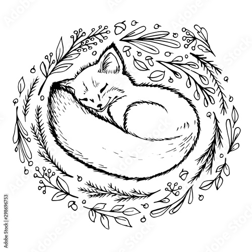 Doodle Fox is sleeping in the nest next to the branches leaves berries