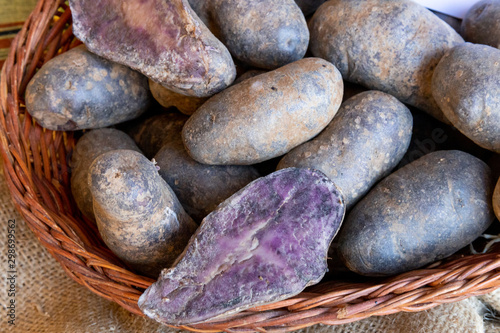 Patate viola in cesto di lasino comano trentino photo