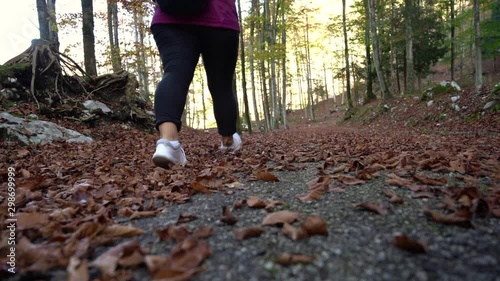 passeggiare in bosco 1