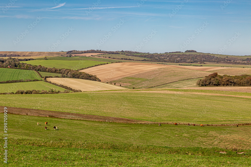 An autumnal patchwork landscape in Sussex, on a sunny day